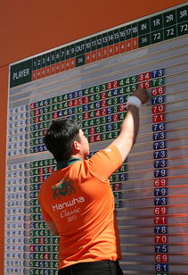 开云体育-世界青少年搏击锦标赛中国群英尽展风采，青少年搏击公开赛