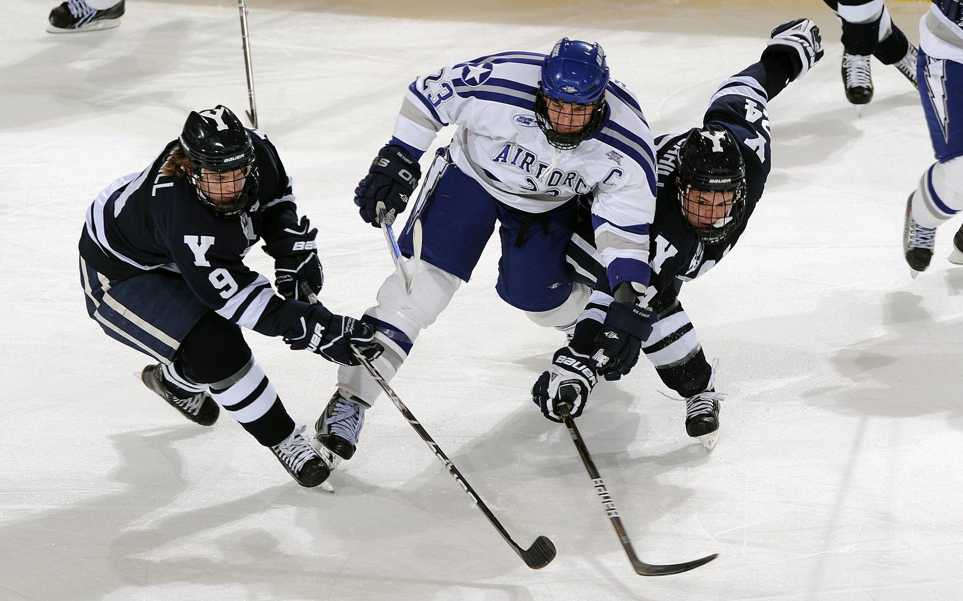 国际裁判培训:保证比赛裁决的专业性和公正性,国际裁判证书